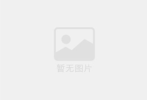 无铝双效泡打粉